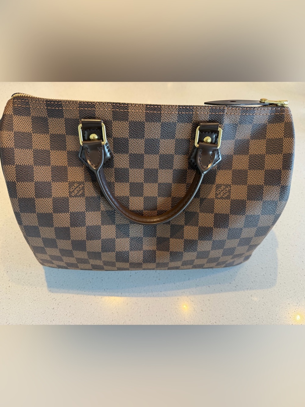 Louis Vuitton Damier Ebene Speedy 30 with Gold Hardware